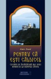 Pentru că eşti căldicel - Paperback brosat - Alain Durel - Meteor Press