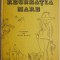Recreatia mare &ndash; Mircea Sintimbreanu