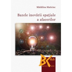 Bazele inovarii spatiale a afacerilor &ndash; Madalina Maticiuc