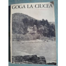 Goga la Ciucea