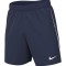 Pantaloni scurti pentru barbati Nike M Nk DF Lge Knit III Short K, bleumarin, marime L - OUTLET