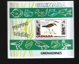 grenada pasari mnh