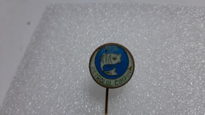 Insigna Petrolul Cimpina foto