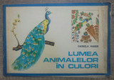 Lumea animalelor in culori - Daniela Marin// carte de colorat