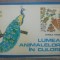 Lumea animalelor in culori - Daniela Marin// carte de colorat