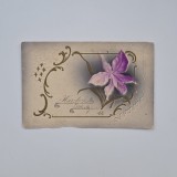 Carte Postala tematica florala litografie reliefata, circulata cu Timisoara - Temesvar 1905, Timis / Banat / Romania