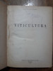 Viticultura - Prof. A. Bulencea 1955 / R5P2F, Alta editura