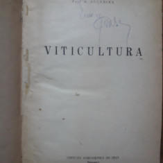 Viticultura - Prof. A. Bulencea 1955 / R5P2F