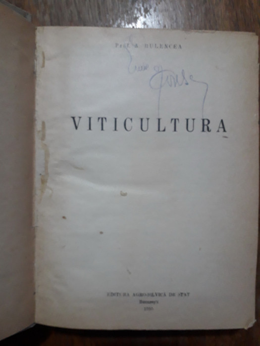 Viticultura - Prof. A. Bulencea 1955 / R5P2F