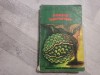 Miezul lucrurilor de Graham Green