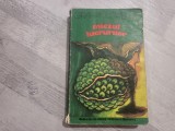 Miezul lucrurilor de Graham Green