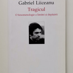 Gabriel Liiceanu - Tragicul. O fenomenologie a limitei si depasirii