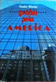 Teodor Marian - Grabit prin America