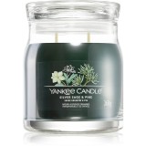 Yankee Candle Silver Sage &amp; Pine lum&acirc;nare parfumată Signature 368 g