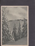 QW25 M - Carte postala - tematica turism - vedere - Muntii Bucegi 21 - 1955