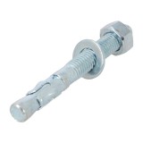 Bolt Anchor 12mm x 100mm FWA - Pack of 25