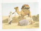 FA64-Carte Postala- ALGERIA - La priere au Sahara, necirculata, Fotografie