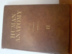 Human Anatomy-M.Prives.