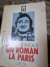 UN ROMAN LA PARIS - DUMITRU TEPENEAG foto