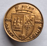 Orasul TEIUS, insigna stema - heraldica