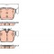 TRW GDB2154 set placute frana,frana disc