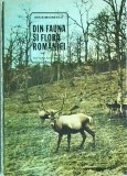 Cumpara ieftin Ion Simionescu - Din Fauna si Flora Romaniei, Ed. Ion Creanga (1981), Carte Biologie Natura, Cartonata, Ghid Specii Plante Animale Romania