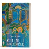 Osteneli sacerdotale. Editie revazuta si adaugita - Pr. Ilie Ilisei