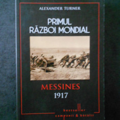 ALEXANDER TURNER - PRIMUL RAZBOI MONDIAL. MESSINES 1917