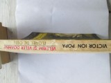 Victor Ion Popa - Velerim si Veler Doamne. Floare de otel