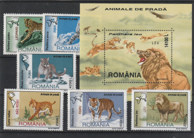 Fauna animale de prada ,nr lista 1532/3 , Romania . foto