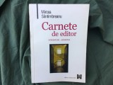 Carnete de editor de Mircea Santimbreanu anul 2000 / 248 pagini !