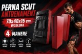 Pernă scut antrenament bicolora