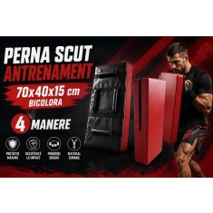 Pernă scut antrenament bicolora