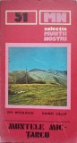 MUNTELE MIC-TARCU (CONTINE HARTA)-GH. NICULESCU, DANUT CALIN-219047