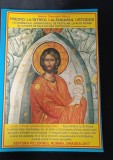 Predici la &icirc;ntreg calendarul ortodox de diacon Gheorghe Băbut, Editura Pelerinului Rom&acirc;n, Oradea 2017