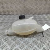 Vas de expansiune RENAULT MASTER III Furgon FV 2019 OEM: 217100015R 25204396