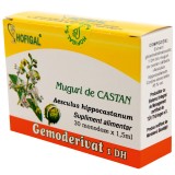 Gemoderivat muguri castan 1,5ml*30mdz, Hofigal