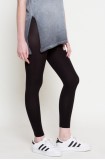 Gatta - Colanti Leggings