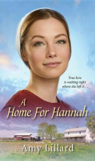 A Home for Hannah, Paperback foto