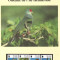 Insulele Pitcairn 1996 - Păsări locale, set WWF, 6 poze, MNH