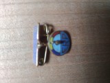 Insigna Federatii Sportive FRP