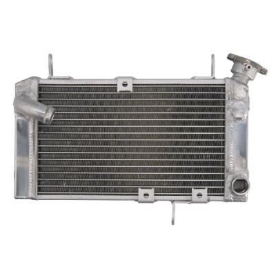 RADIATOR SUZUKI SV 650 1999 2002 foto