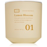 DW Home Lab Lemon Blossom lum&acirc;nare parfumată 411 g