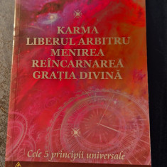 Karma liberul arbitru menirea reincarnarea gratia divina A. M. Mayer