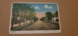 Buzau - Bulevardul I.C Brătianu., Circulata, Fotografie
