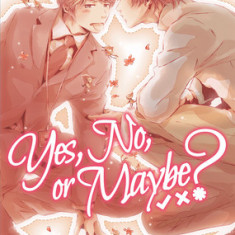 Yes, No, or Maybe? (Light Novel)