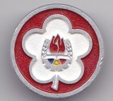 INSIGNA PIONIER Frumusetea prieteniei Aluminiu email la rece