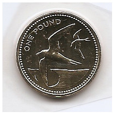Sf. Helena & Ascension 1 Pound 2003 - Elizabeth II, 22.5 mm KM-17 UNC !!!