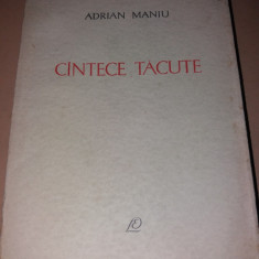 ADRIAN MANIU CANTECE TACUTE