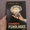 Experimente psihologice - Michael A. Britt